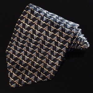 Albert Nipon Men’s Necktie 100% Silk Blue Design(N